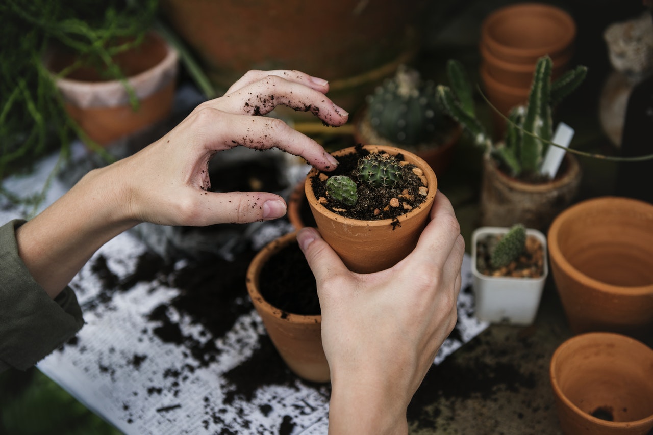 4 Reasons Why Millennials Love Gardening and Buying Gardening Tools